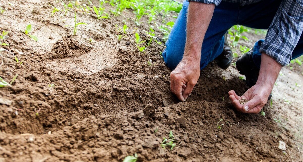 Agricultorii europeni, la bruxelles: Criza îngrășămintelor se adâncește, după iranian