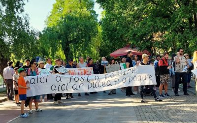 Ce învață București-ul: 5 lecții de civism din cartiere, pentru un grup civic