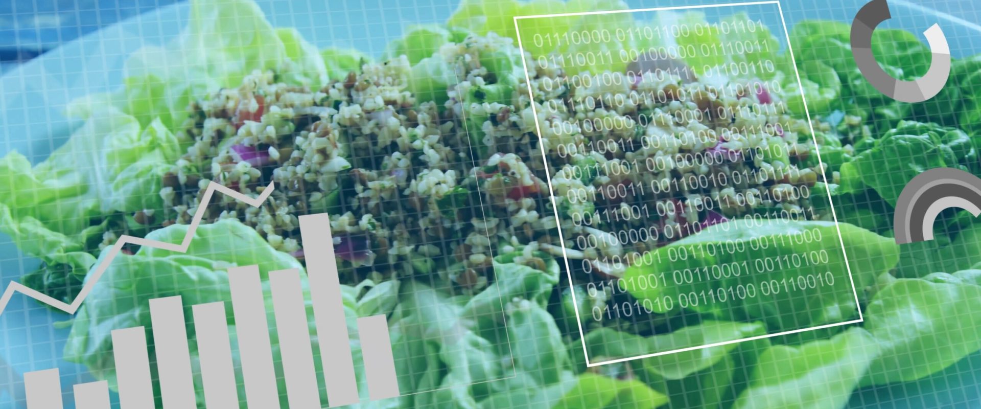 Cum să te hrănești la orice vârstă: Ghidul nutrițional pas cu pas