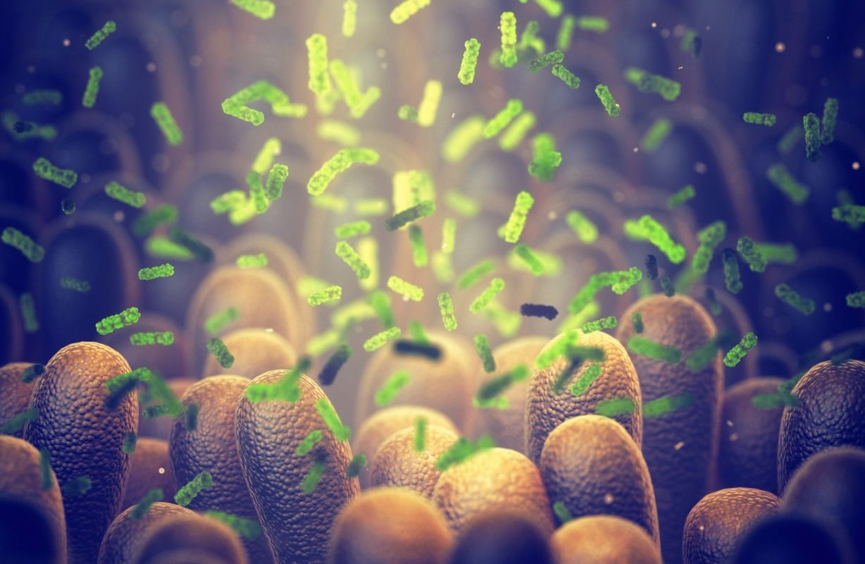 Bacterie „ucigașă” dezvoltată de cercetători: Distruge tumorile din interior