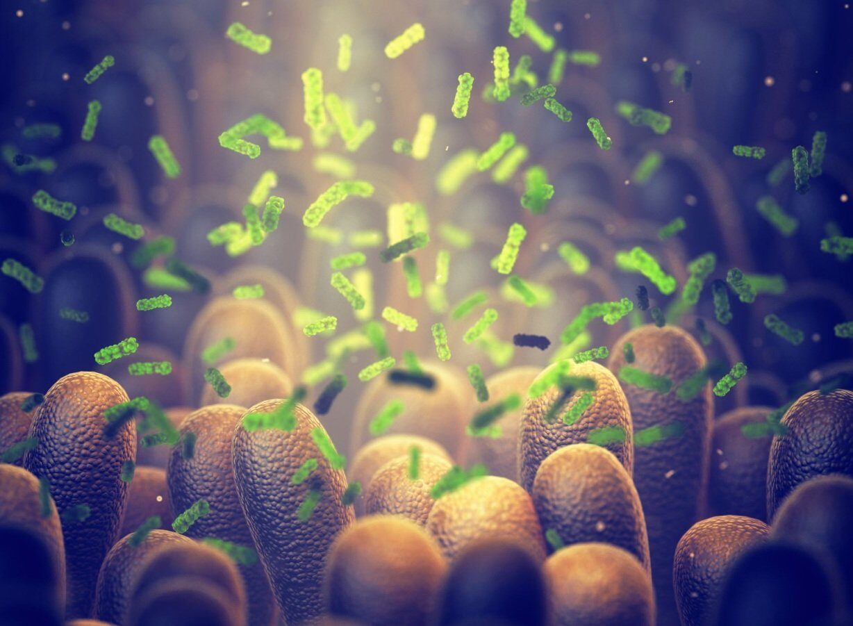 Bacterie „ucigașă” dezvoltată de cercetători: Distruge tumorile din interior