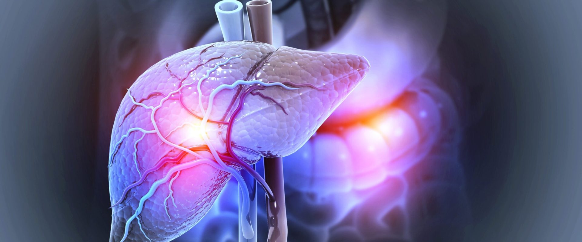 Boala ficatului gras, pandemie: Aproape 2 miliarde de oameni, afectați până în 2050