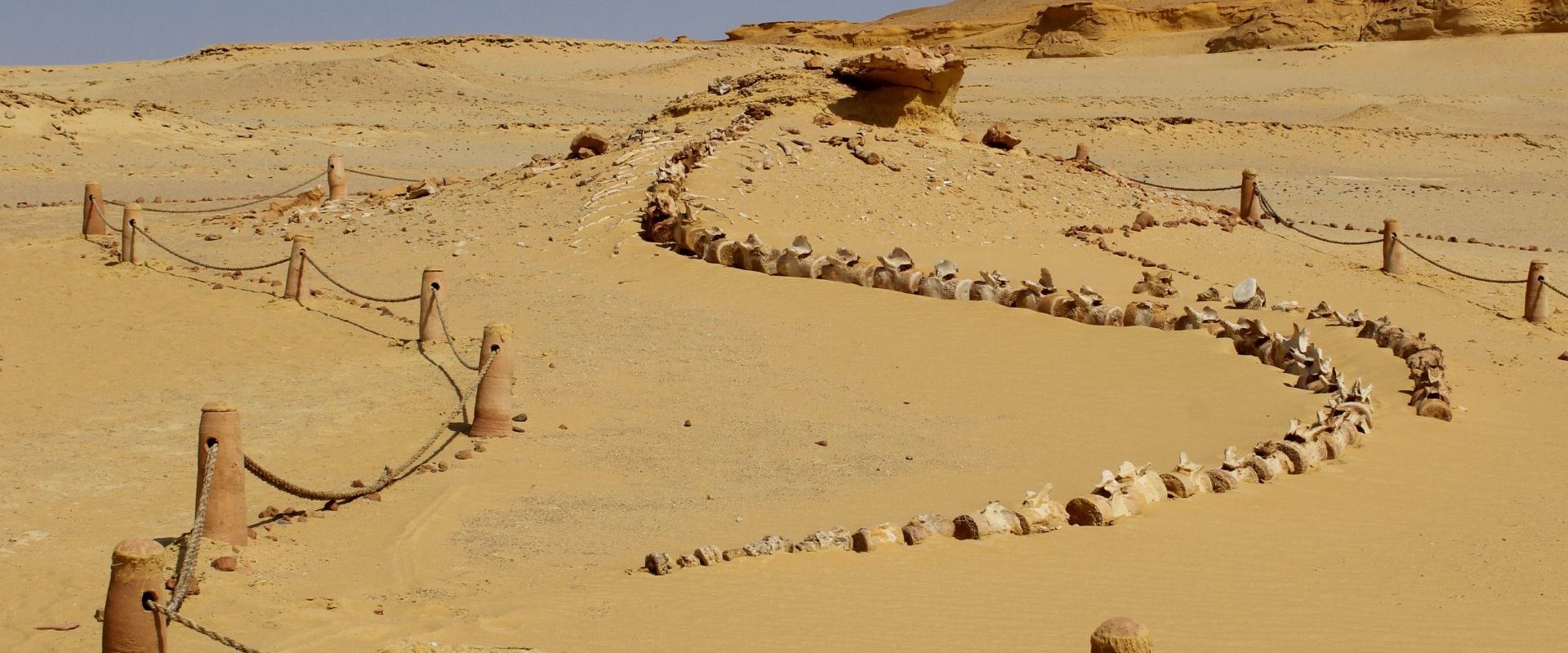 Cataclismul de acum 4200 de ani a ruinat Vechiul Regat Egiptean