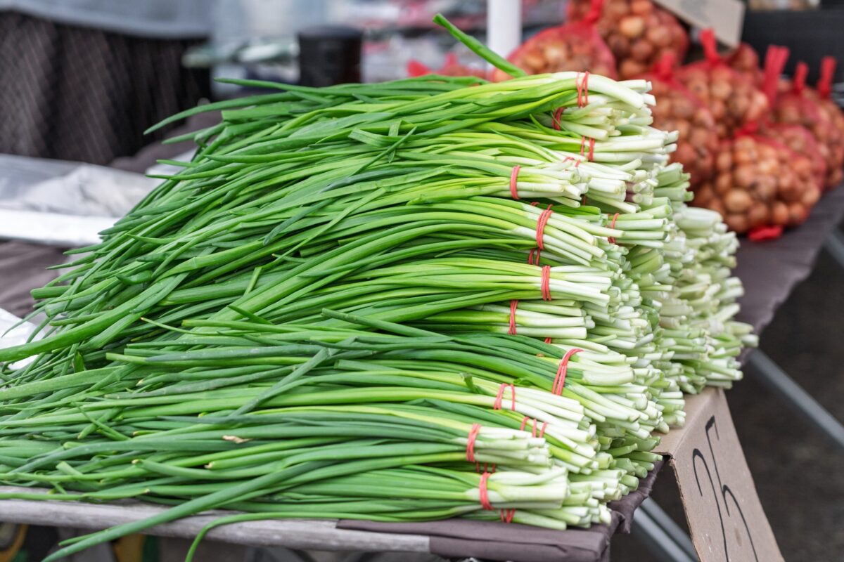 Atenție, români! Trufandalele de primăvară ascund pericole greu de detectat