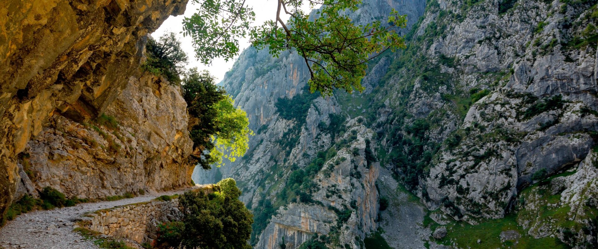 Un parc național din România, „cel mai frumos loc din lume”