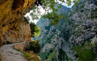 Un parc național din România, „cel mai frumos loc din lume”