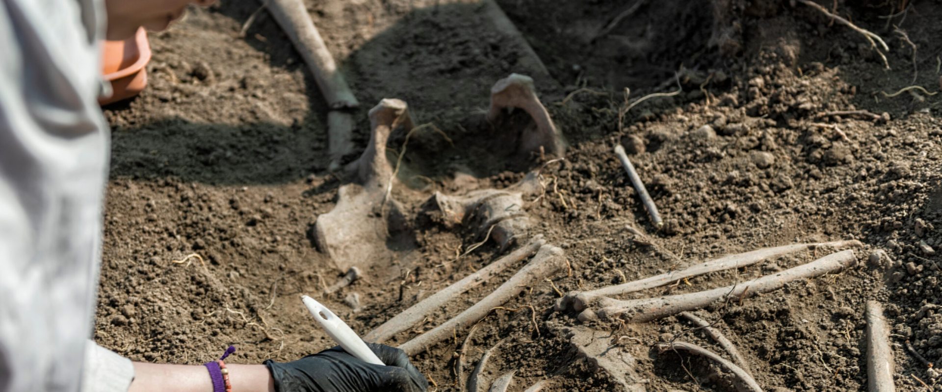 Peisaj antic: Oameni care au trăit acum 100.000 de ani, dezgropați