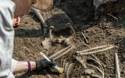 Peisaj antic: Oameni care au trăit acum 100.000 de ani, dezgropați