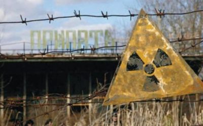 Viață UIMITOARE la Cernobîl, la 40 de ani de la dezastru