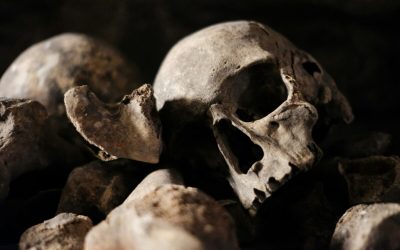 Catacombele Parisului, redeschise! Pericol uriaș: Oasele, atacate de microbi