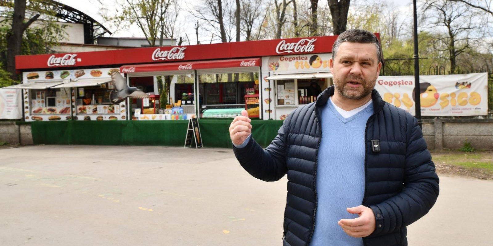 Primarul Capitalei, dezbatere despre Herăstrău: Alei noi și copaci plantați, dar nu e destul