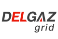 Delgaz Grid pompează 241 milioane euro în rețelele de gaz și curent electric