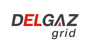 Delgaz Grid pompează 241 milioane euro în rețelele de gaz și curent electric