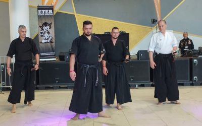 Kenjutsu la Timișoara: Arta săbiei, spectacol și demonstrații live