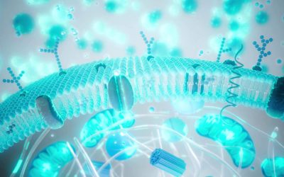 Balonare, greață, reflux după Paște? Ghid Rapid pentru digestie ușoară