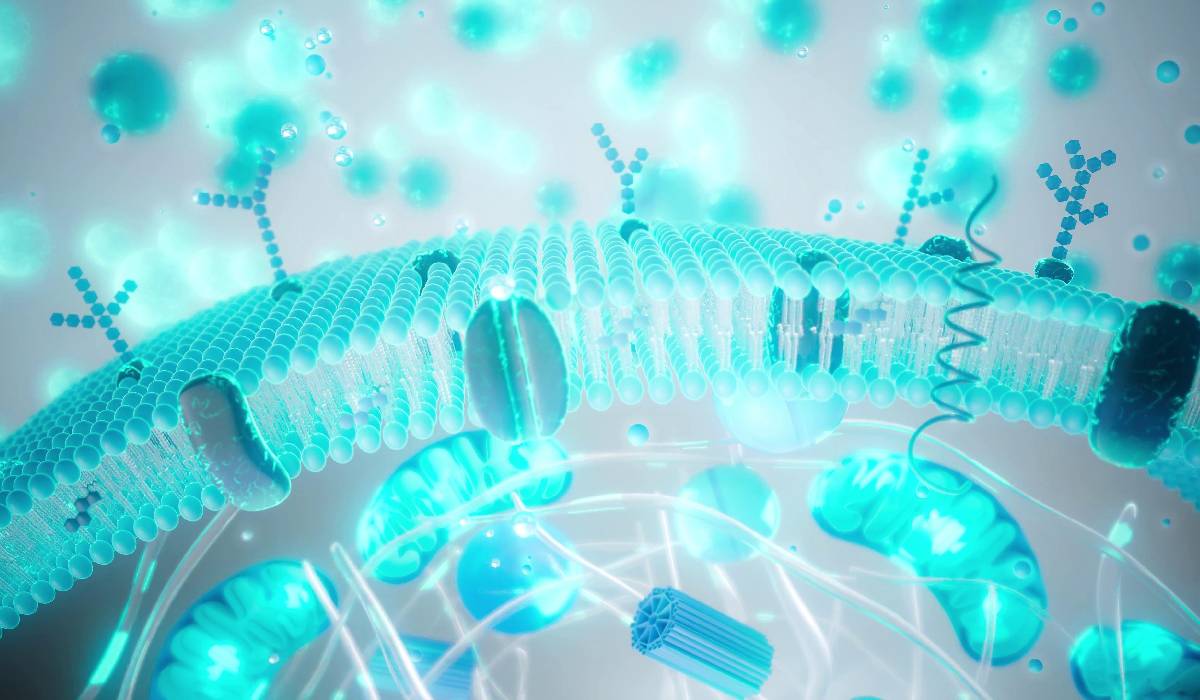 Balonare, greață, reflux după Paște? Ghid Rapid pentru digestie ușoară