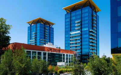 Branduri românești în imobiliare: De la beton la experiență!