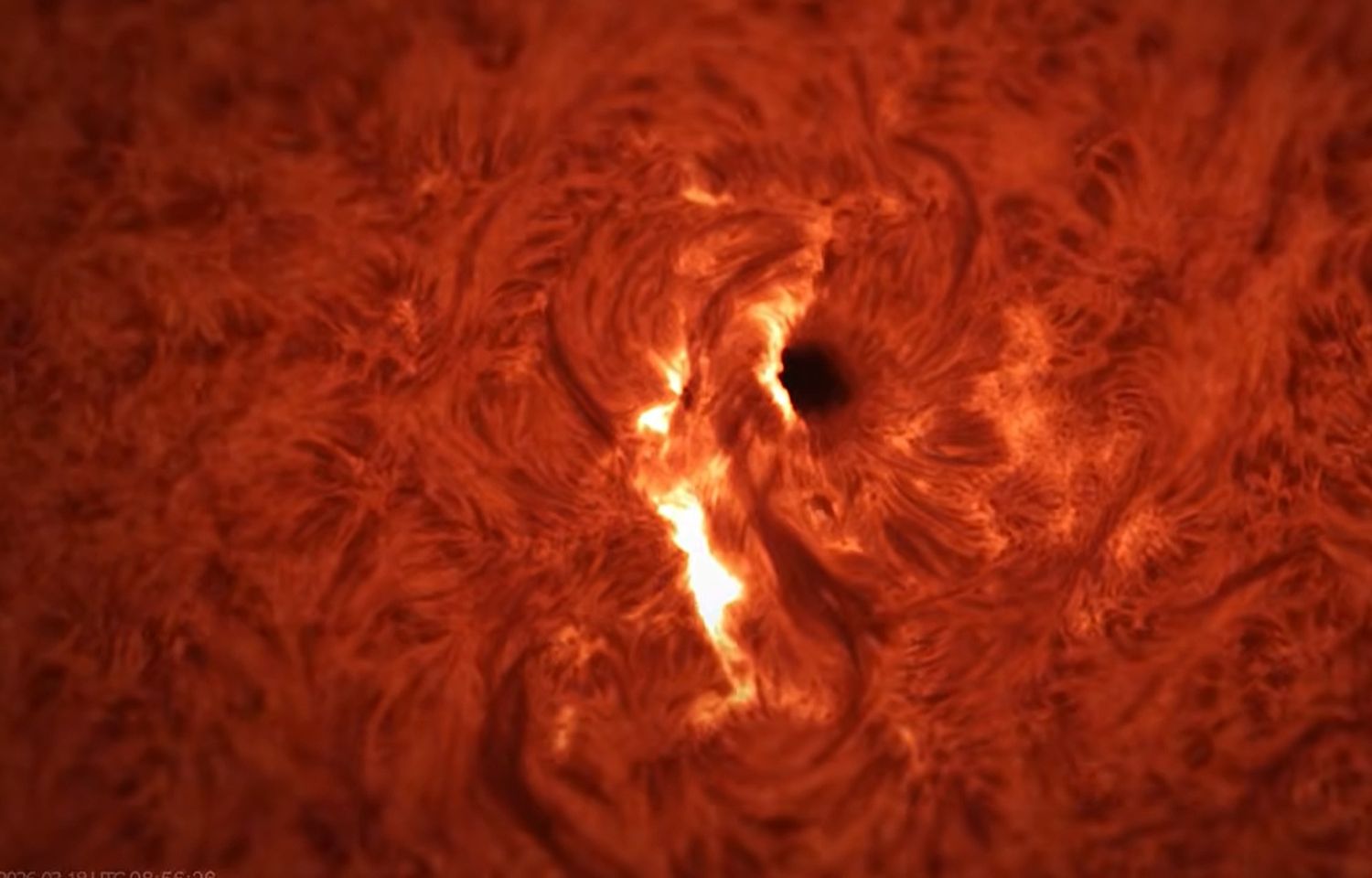 Cum sună furia soarelui? Erupție surprinsă în direct, un eveniment rar!