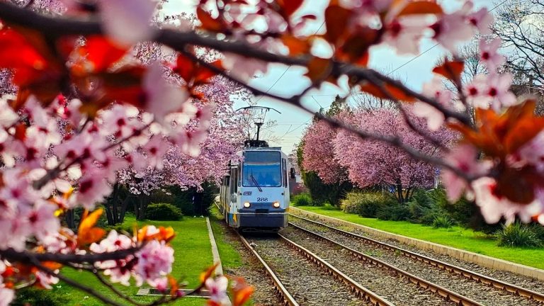 Marile evenimente din București care îți vor schimba weekendul