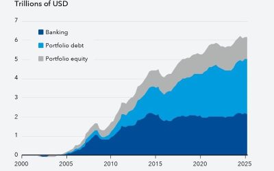 FMI: Capital străin la greu în piețele emergente. Crește riscul