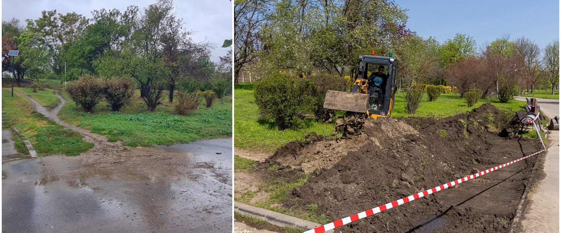 Prima grădină de ploaie din București, inaugurată în Parcul Tineretului