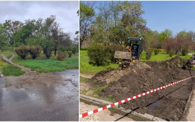 Prima grădină de ploaie din București, inaugurată în Parcul Tineretului