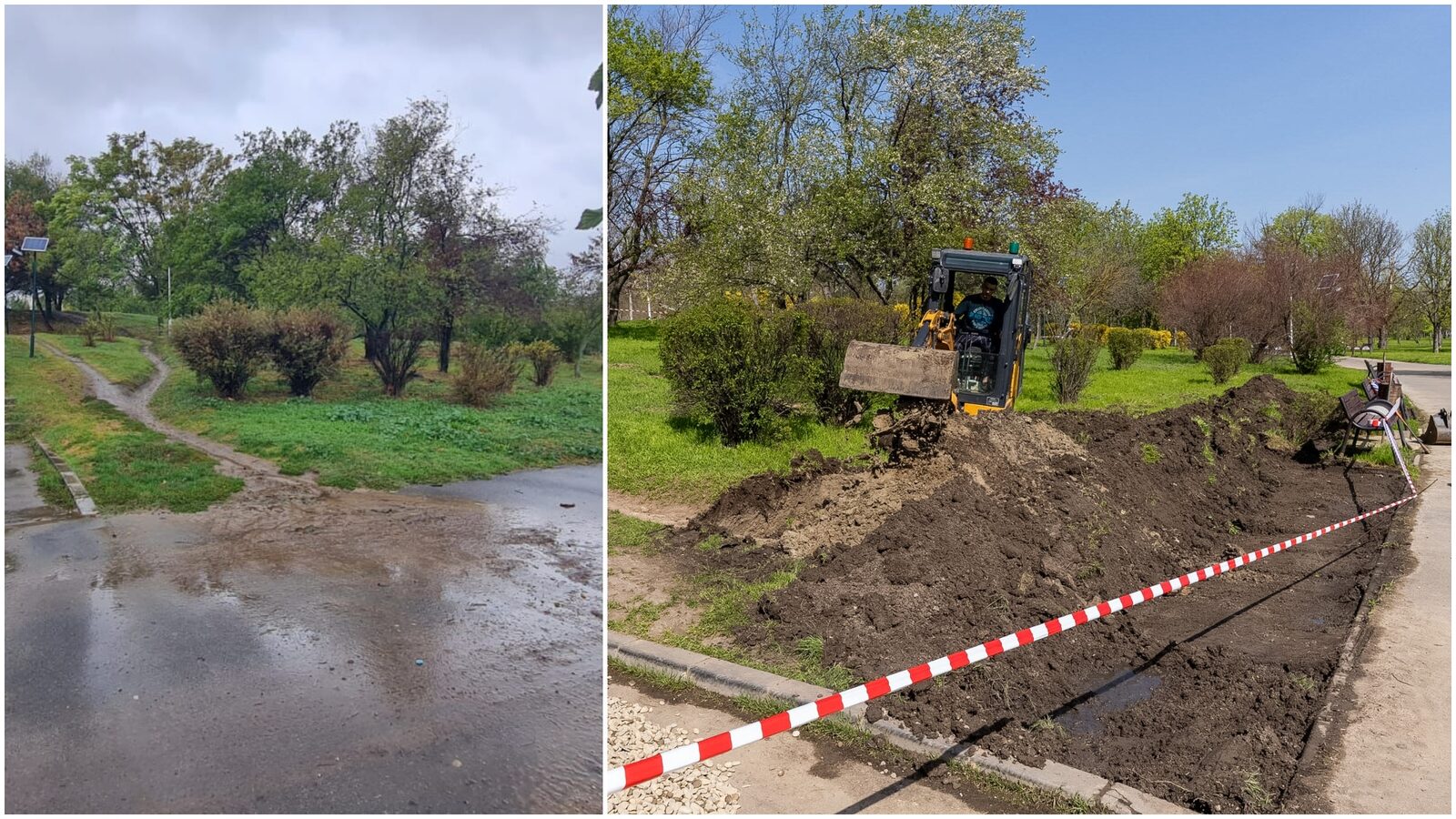 Prima grădină de ploaie din București, inaugurată în Parcul Tineretului