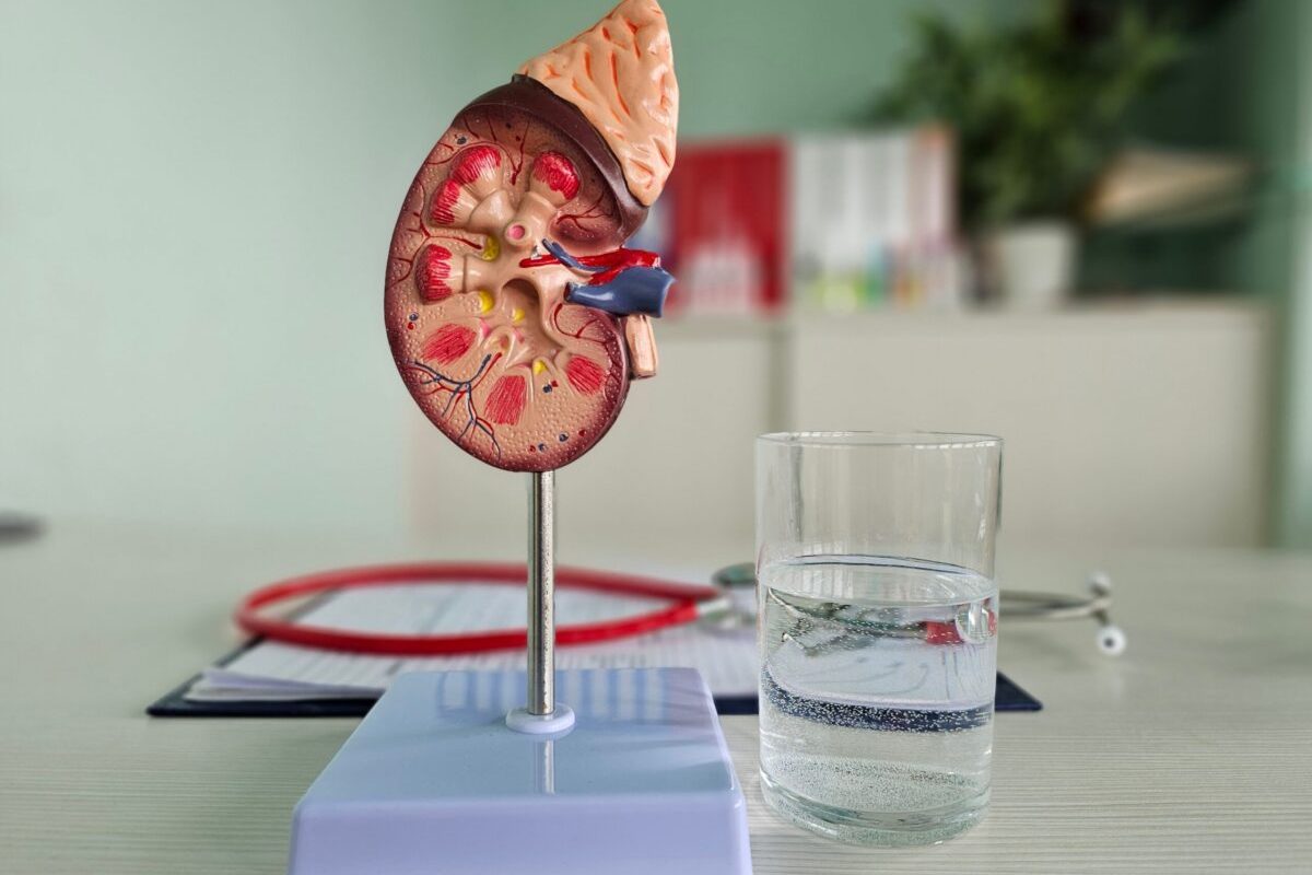 Obiceiul banal care-ți salvează rinichii: Recomandarea medicilor