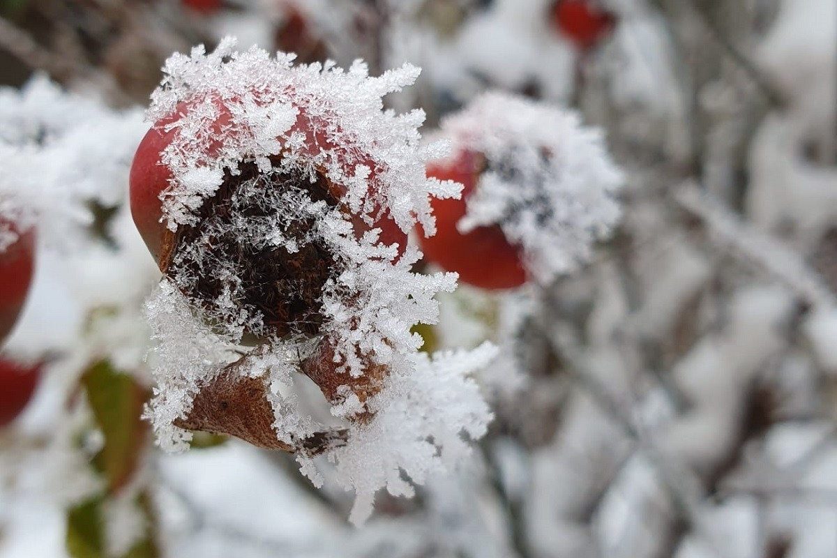 Meteo: Ninsori de Paște în România. Vezi zonele unde vine lapovița și vântul