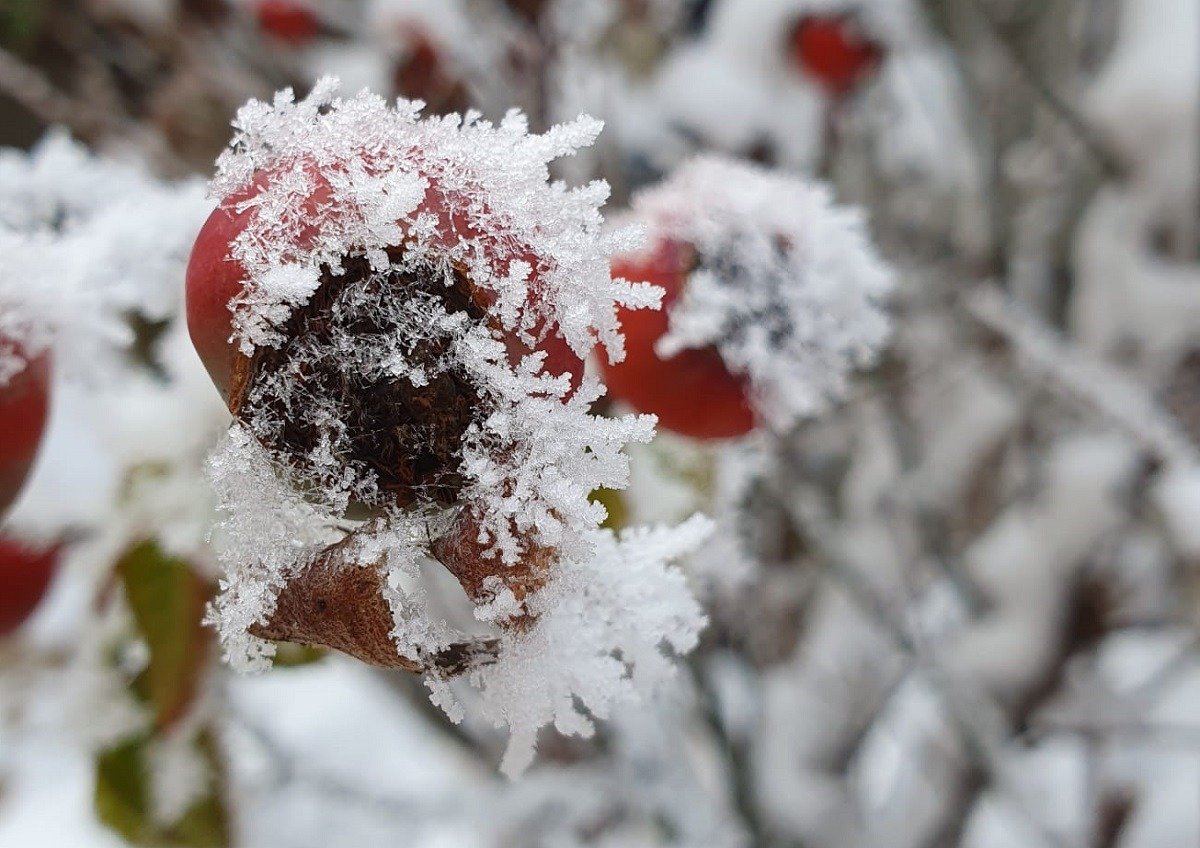 Meteo: Ninsori de Paște în România. Vezi zonele unde vine lapovița și vântul