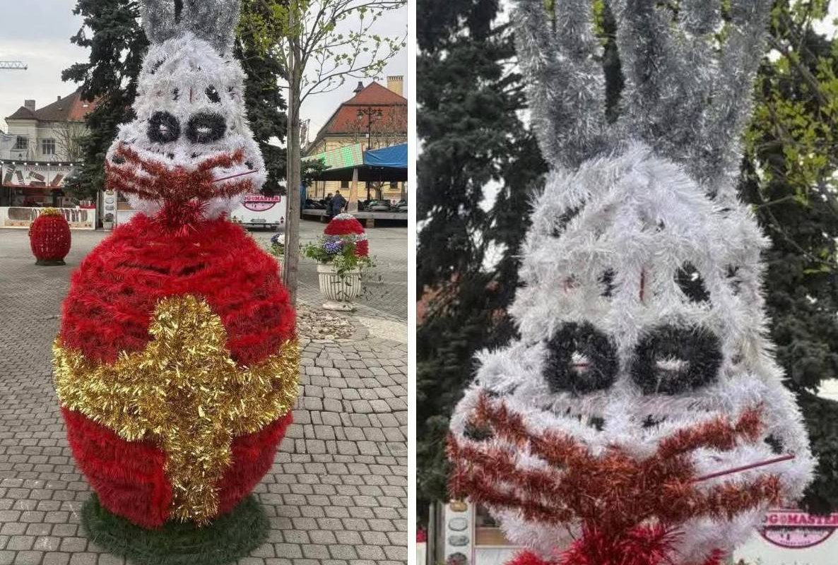 Iepurași horror în Baia Mare: Localnicii, șocați de „groza”!