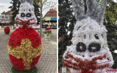 Iepurași horror în Baia Mare: Localnicii, șocați de „groza”!