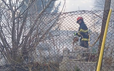 Incendiu devastator într-un cimitir din Botoșani: Lumânarea, cauza