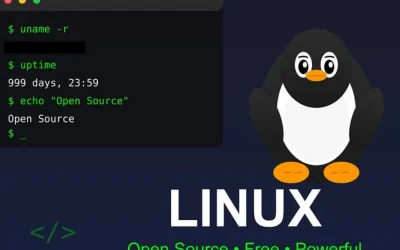 Franța, război cu Giganții Tech: Renunță la Windows pentru Linux