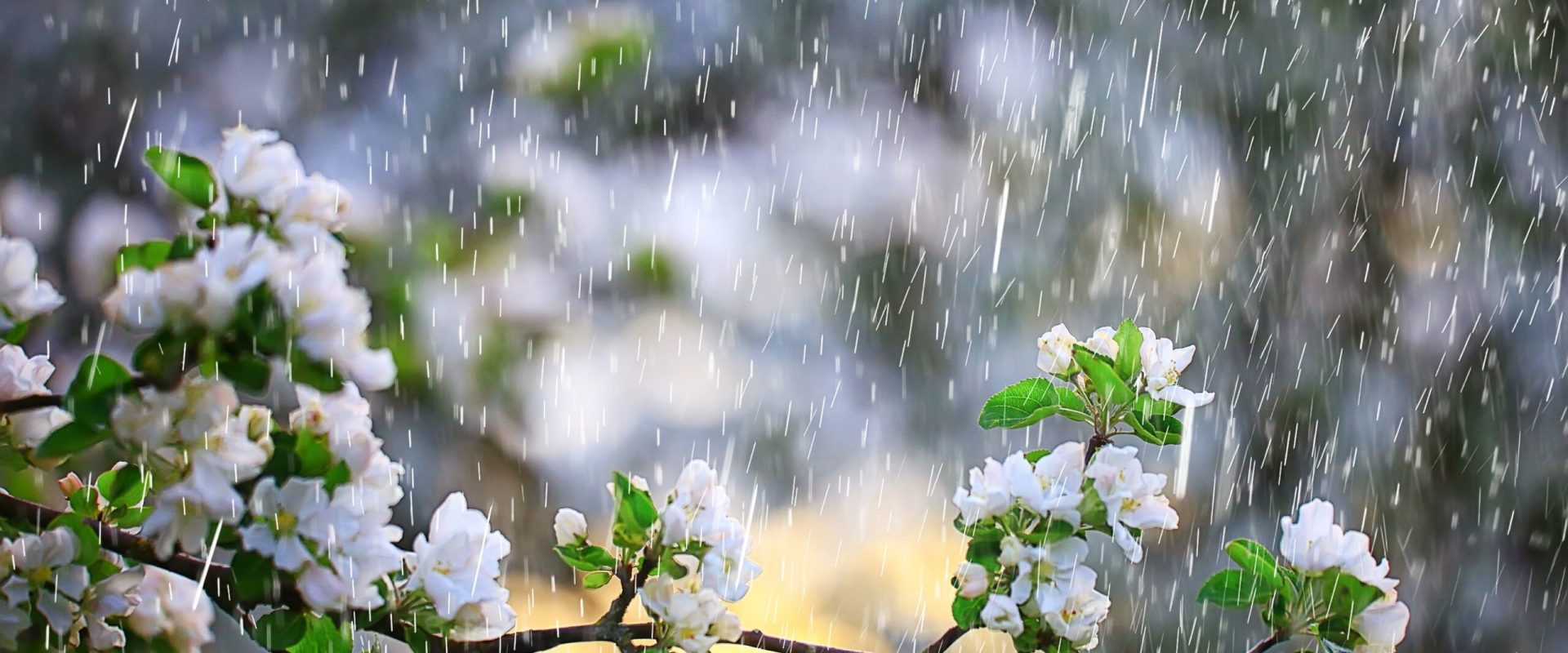 Meteorologii anunță: Vremea se schimbă radical, vin ploile și frigul