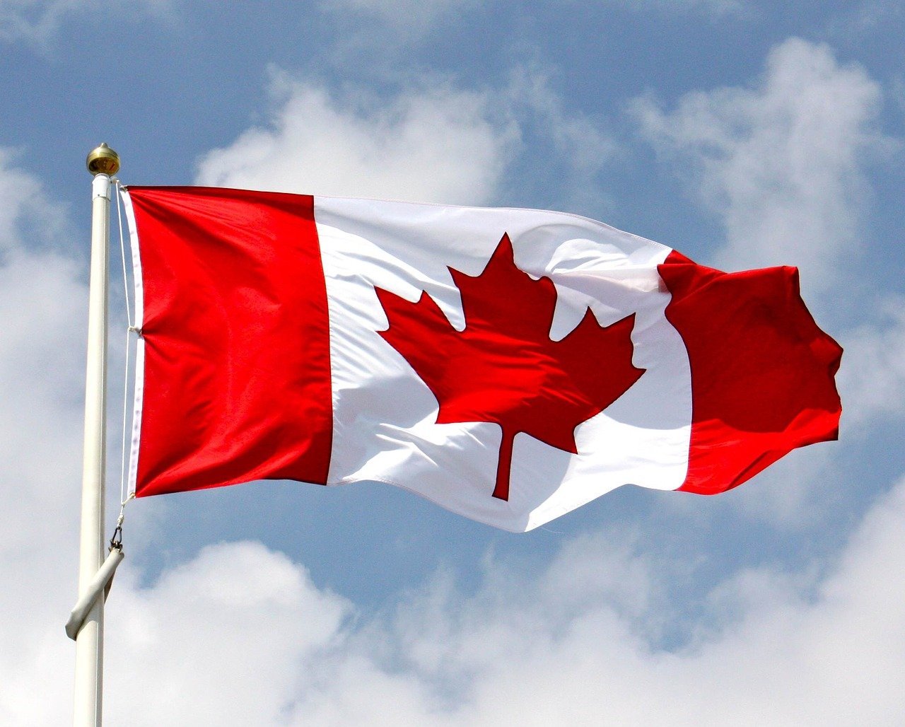 58% dintre canadieni vor u.e.: Ce schimbare de proporții ar putea urma