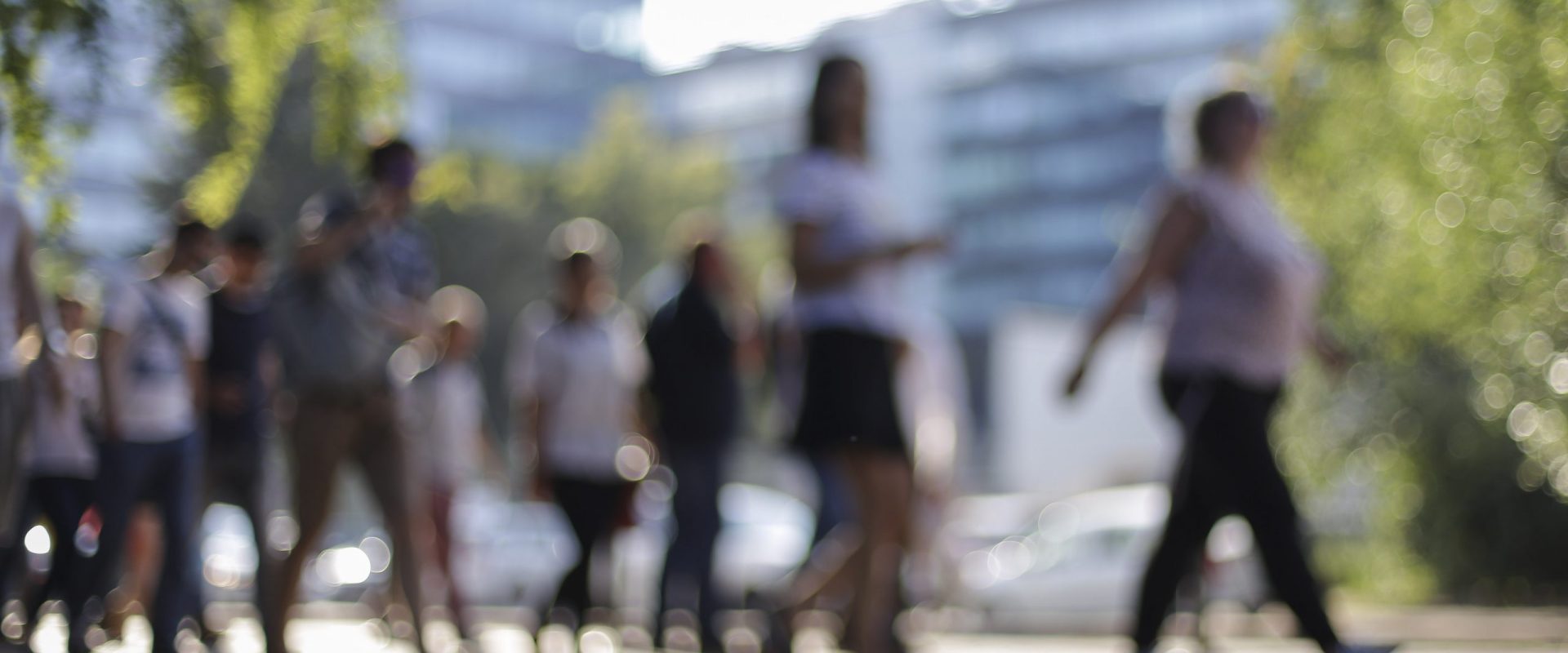 Două sute de șomeri din Harghita, cursuri de limbă română: „Comunicare, vitală”