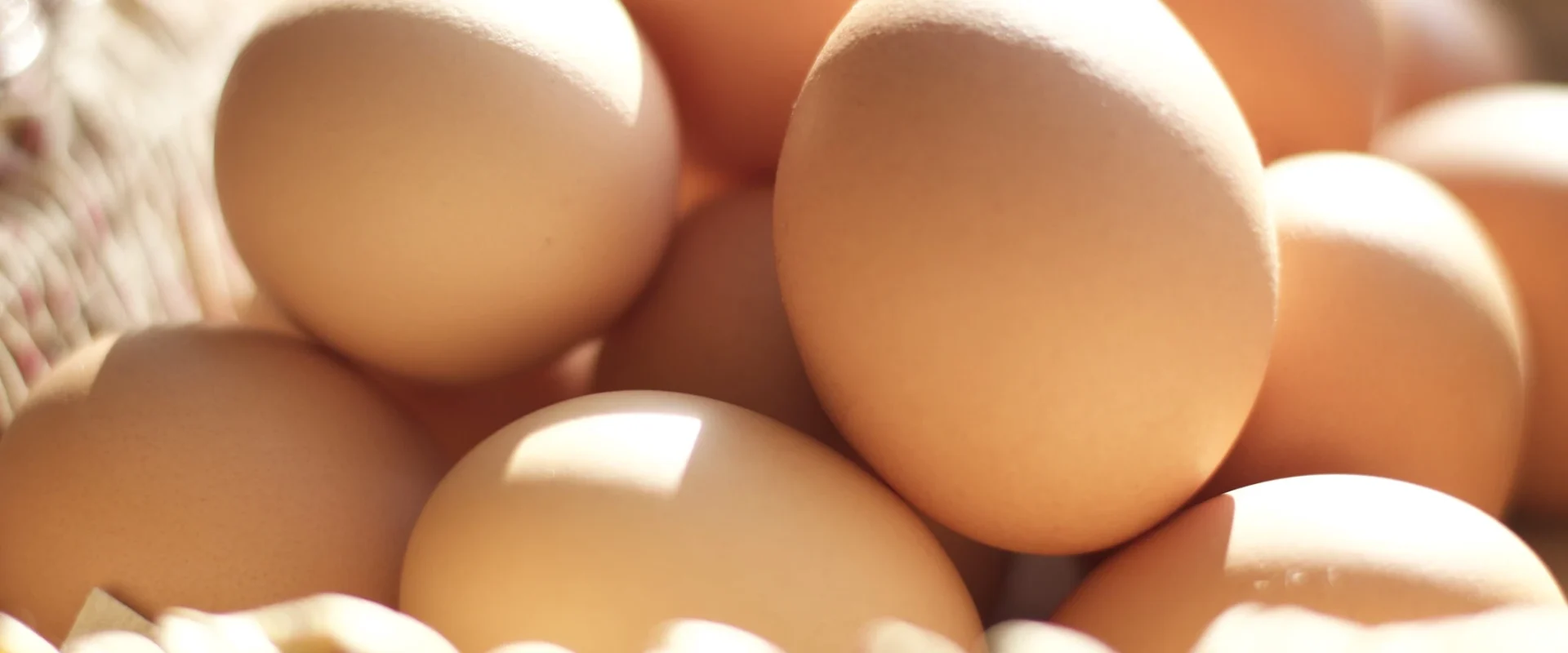 Alertă alimentară: 1,5 milioane de ouă cu salmonella, pericol înainte de Paște