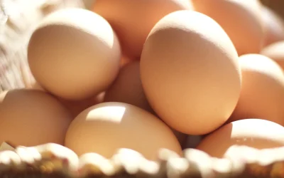 Alertă alimentară: 1,5 milioane de ouă cu salmonella, pericol înainte de Paște