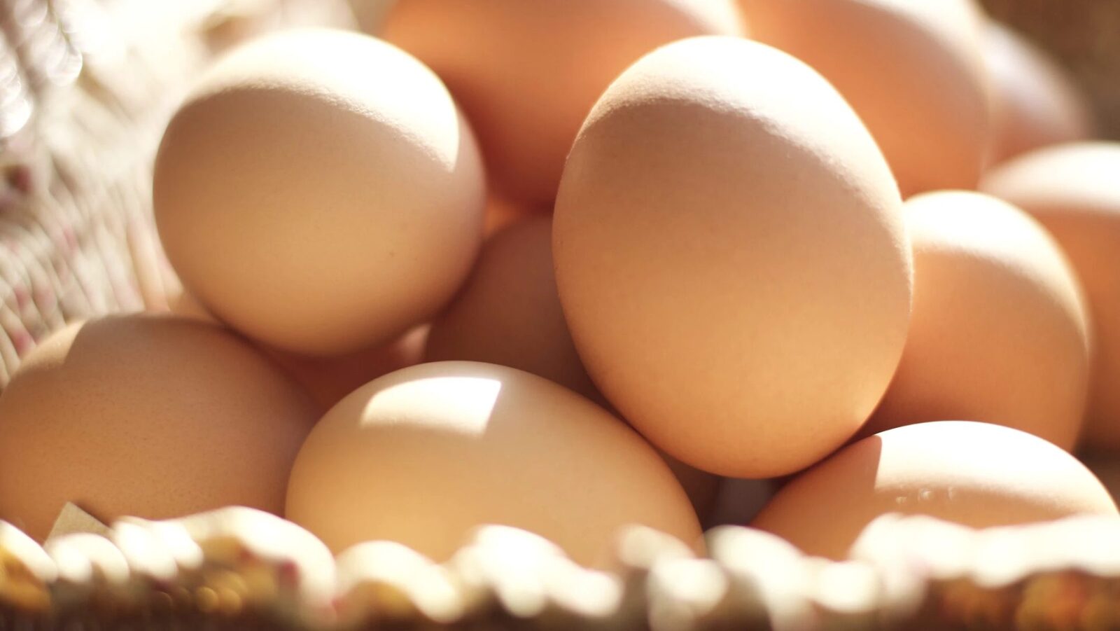 Alertă alimentară: 1,5 milioane de ouă cu salmonella, pericol înainte de Paște