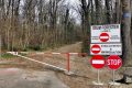 Mașinile, INTERZISE în pădurea Băneasa: Romsilva închide drumul forestier