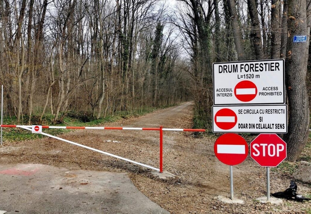 Mașinile, INTERZISE în pădurea Băneasa: Romsilva închide drumul forestier