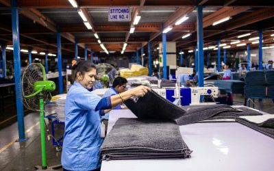 A NOUA oferă 179 de locuri de muncă în Spațiul Economic European