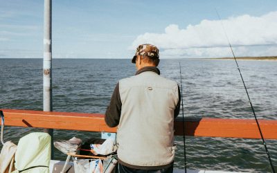 UE: Eșec în baltică. Bruxelles cere revizuirea planurilor de pescuit