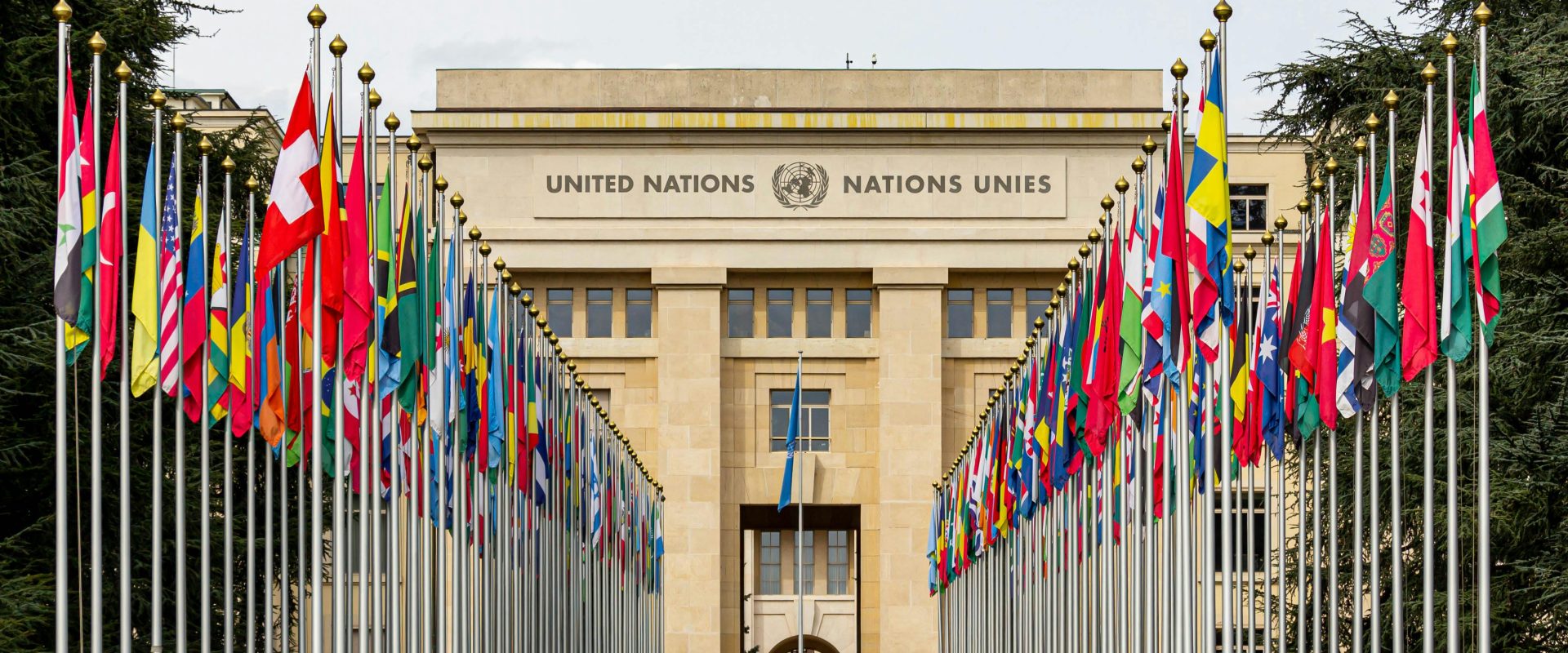 Eurodeputații cer: UE, loc permanent în Consiliul ONU