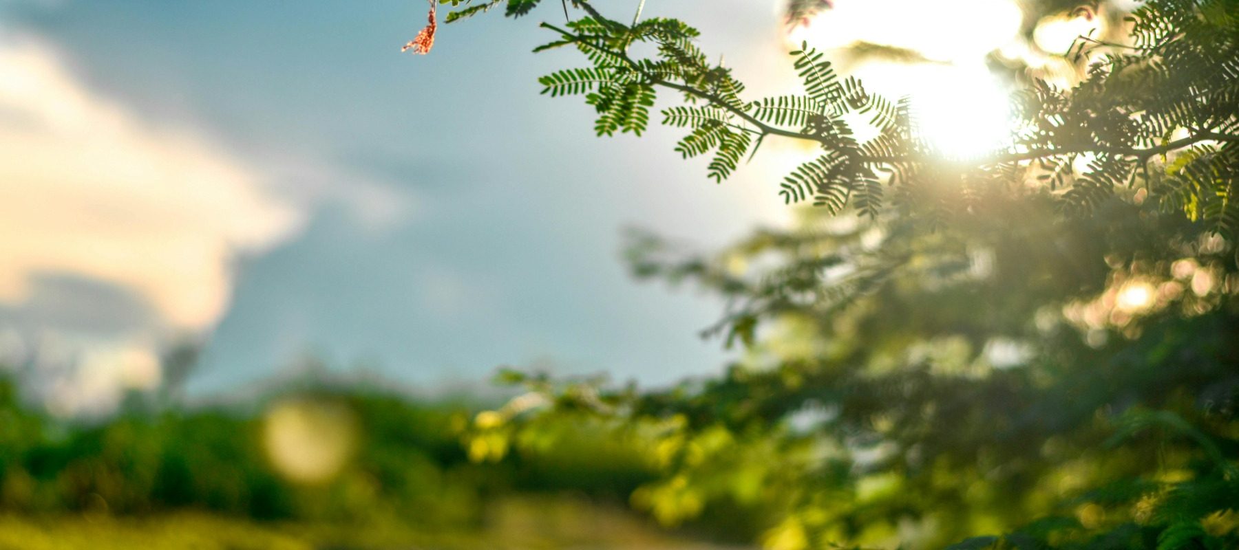 Soarele de primăvară: Pericol pentru piele. Avertisment de la medic