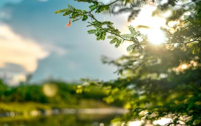 Soarele de primăvară: Pericol pentru piele. Avertisment de la medic