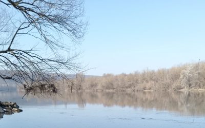 Iași donează peste 46.000 l de apă pentru Bălți și Soroca, afectate de poluarea Nistrului