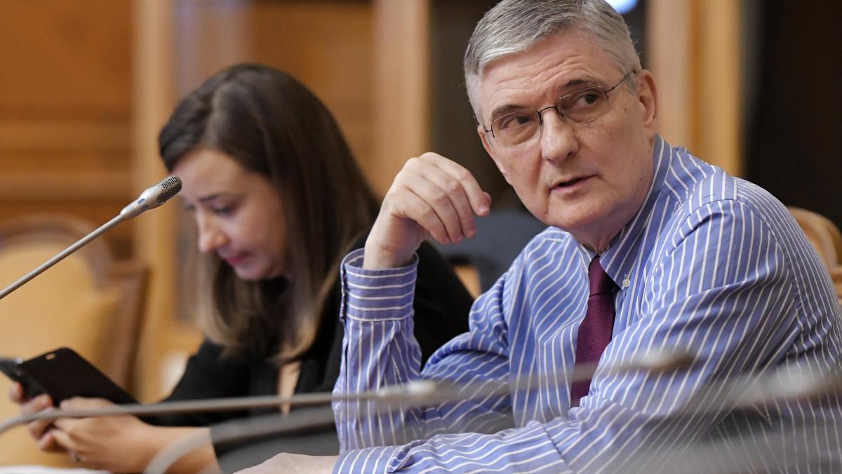 Dăianu: Românii, la cumpătare ca să evite recesiunea „cu noroc”