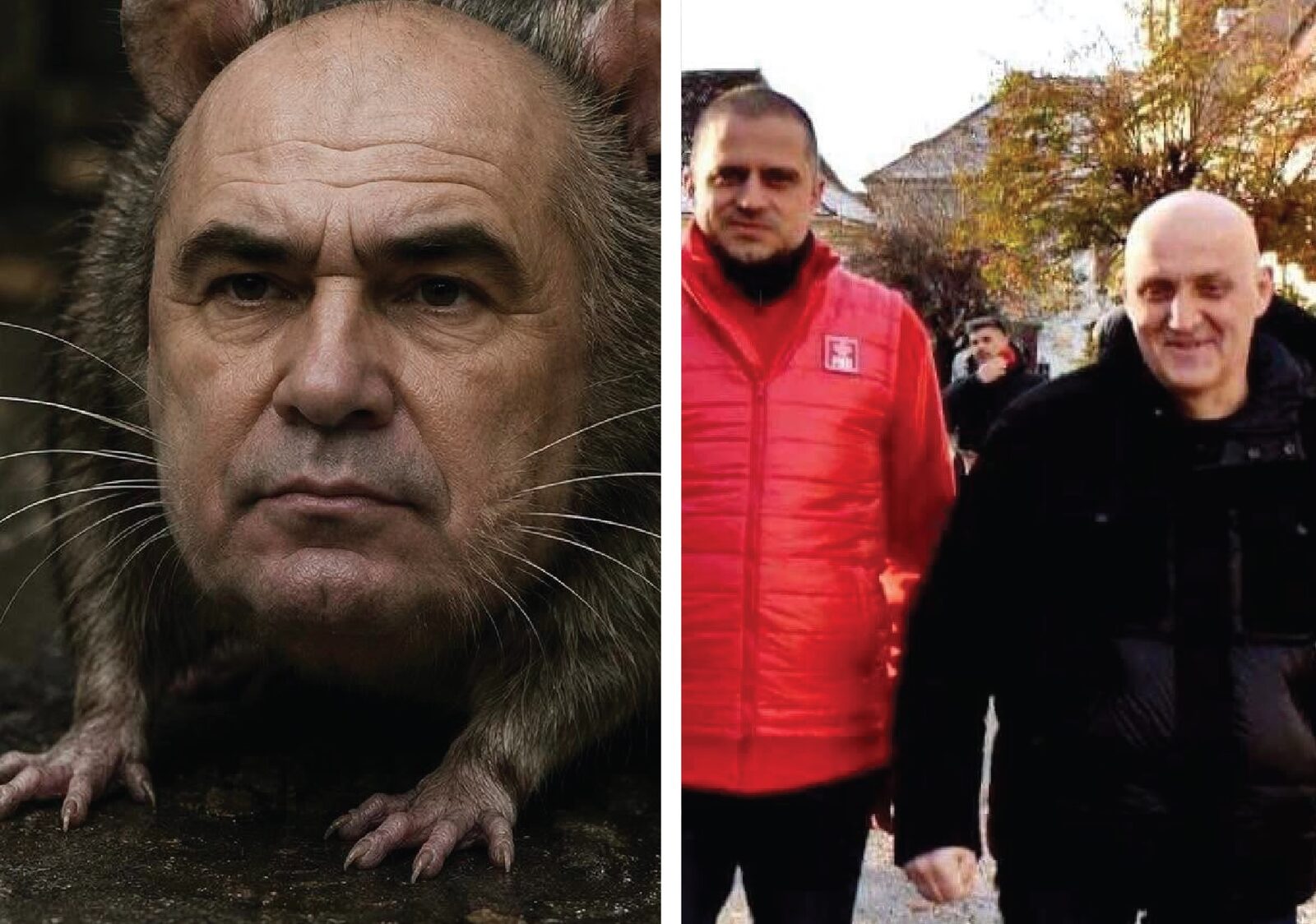 Atac dur la adresa lui Bolojan: „Șobolanul” lui PSD Sibiu, criticat de USR